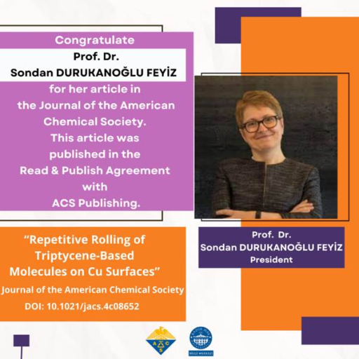 Üniversitemiz Rektörü Prof. Dr. Sondan Durukanoğlu Feyiz’in makalesi American Chemical Society Read and Publish anlaşması kapsamında açık erişim olarak yayınlanmıştır.